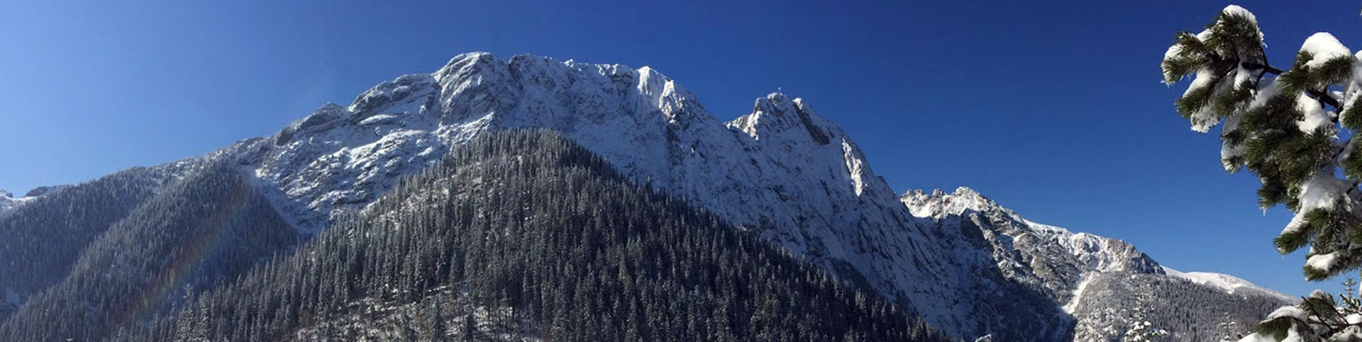 ASTORIA пансионат в Польше горы Татры Закопане ночлеги отдых