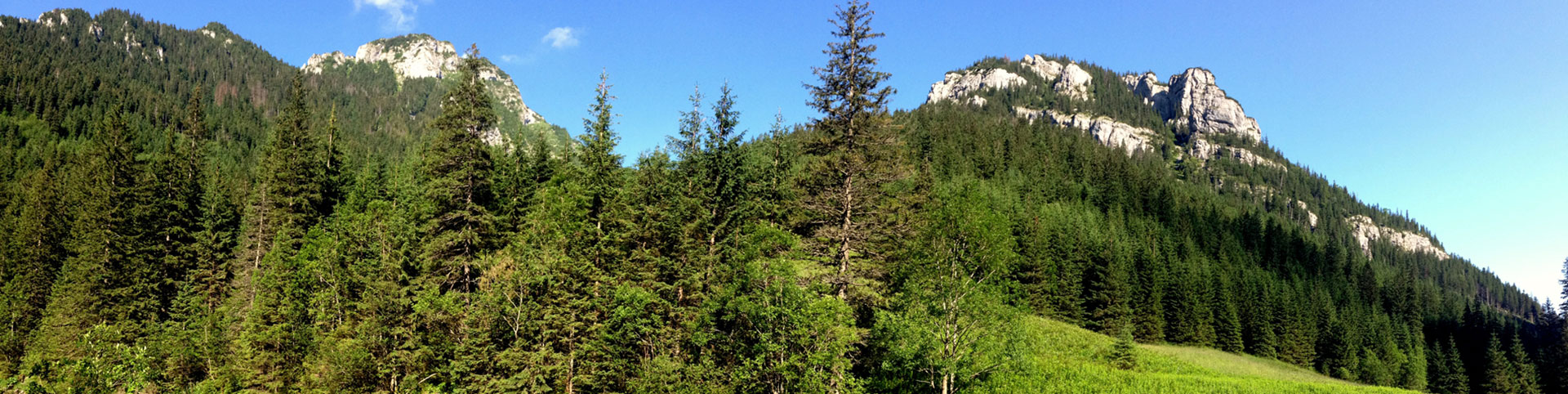 ASTORIA пансионат в Польше горы Татры Закопане ночлеги отдых